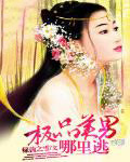 捡到小夫君